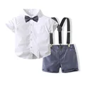 tzf3670-Gray