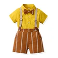 bm2072-Yellow-Brown