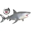 Great White Shark