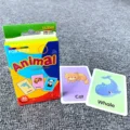 Animal 36PCS