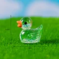Green Shinny Duck