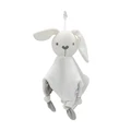 Rabbit-CM041C
