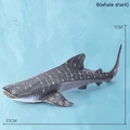 6whale shark