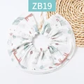 ZB19