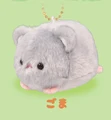 grey hamster