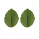 bean green