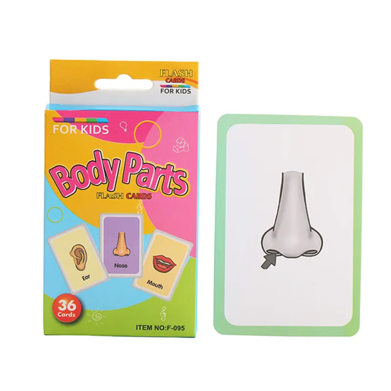 Body 36PCS