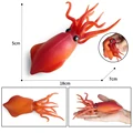 Squid