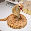 marrón