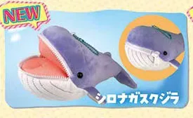 Blue whale