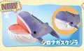 Blue whale