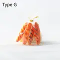 Type G