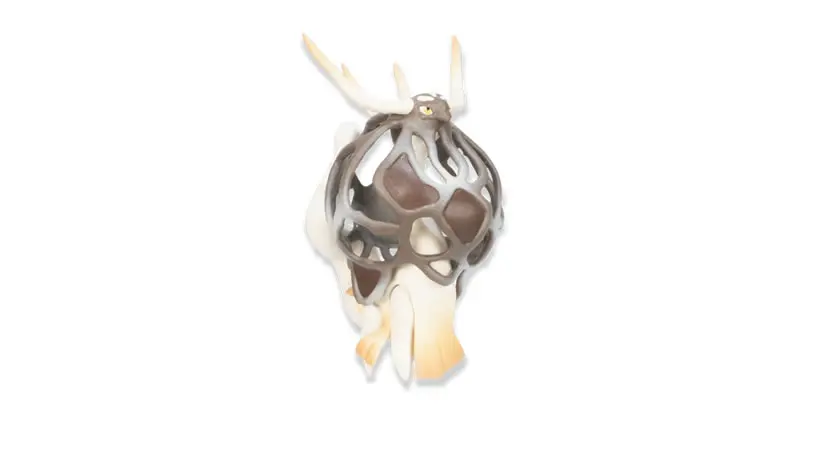 Dragon x Morel