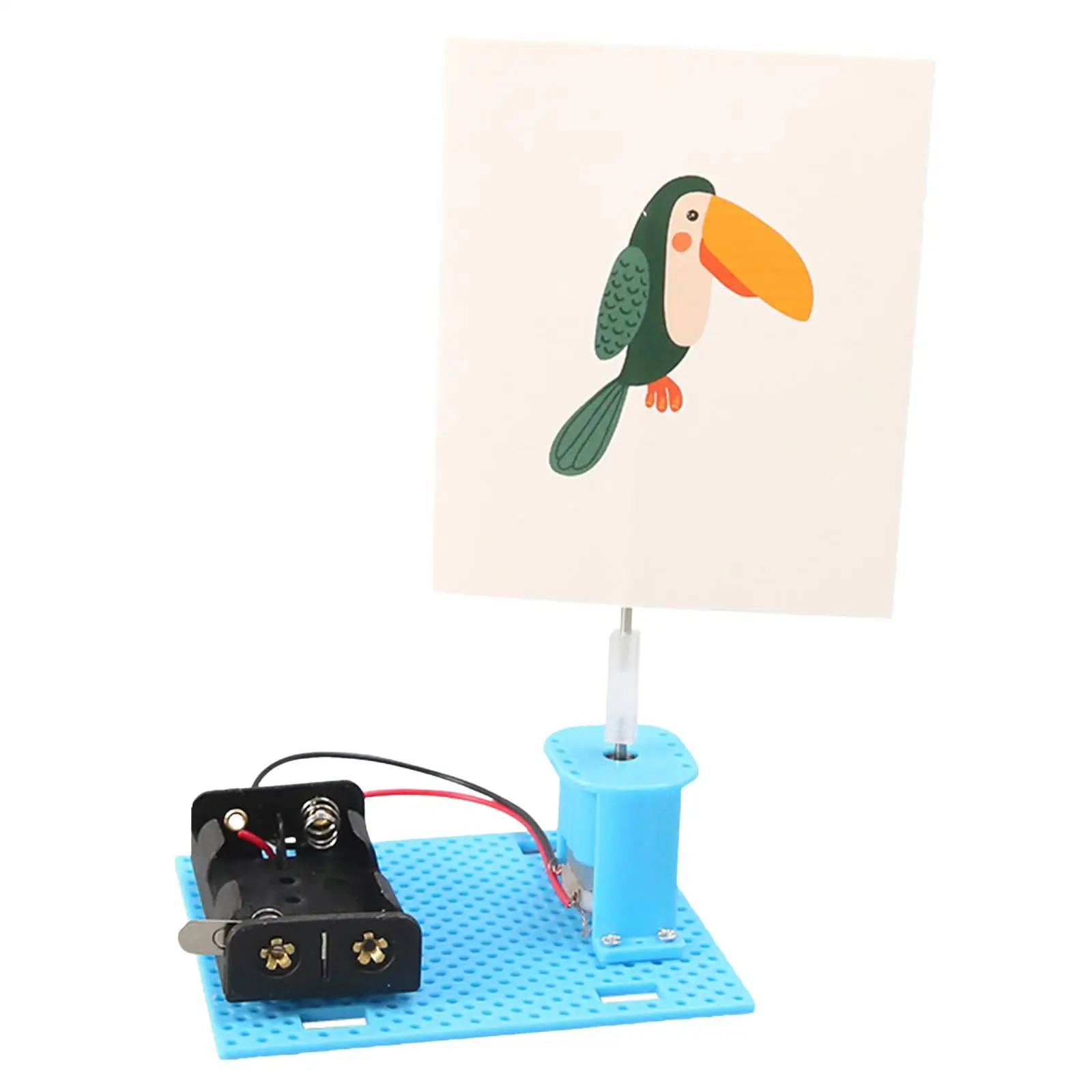 Electric Cage Bird DIY Science Experiments Hand Eye Ability Model for Party Birthday Physics Living Room Aged 7-14 Years Old