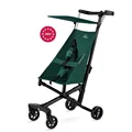 T18 brown green 299