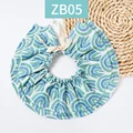 ZB05