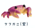 crab purple