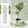 D01Avocado green