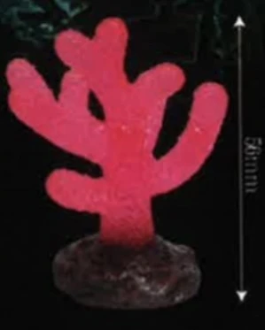 red coral