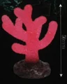 red coral