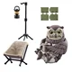 Owl A
