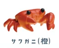 crab orange