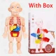 L-With Box