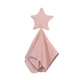 G99C2SS315728-PK-1