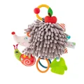 Grey Hedgehog