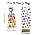 25pcs