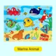 Marine Animal
