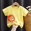 I040-little lion
