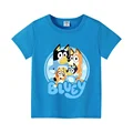 BLY 81