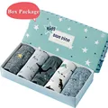 Dinosaur 3-BOX