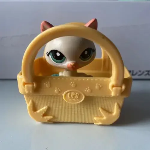 25