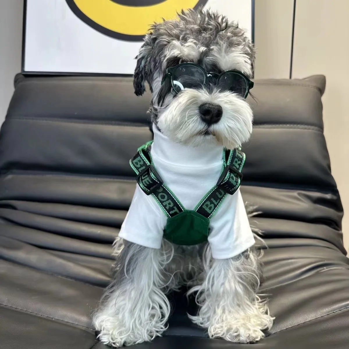 Chaleco de trabajo para perros, chaqueta de oso de peluche Schnauzer, ropa de trabajo para mascotas, ropa para cachorros, Otoño e Invierno - imagen 2