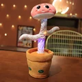Mushroom head