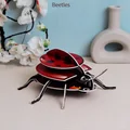beetle