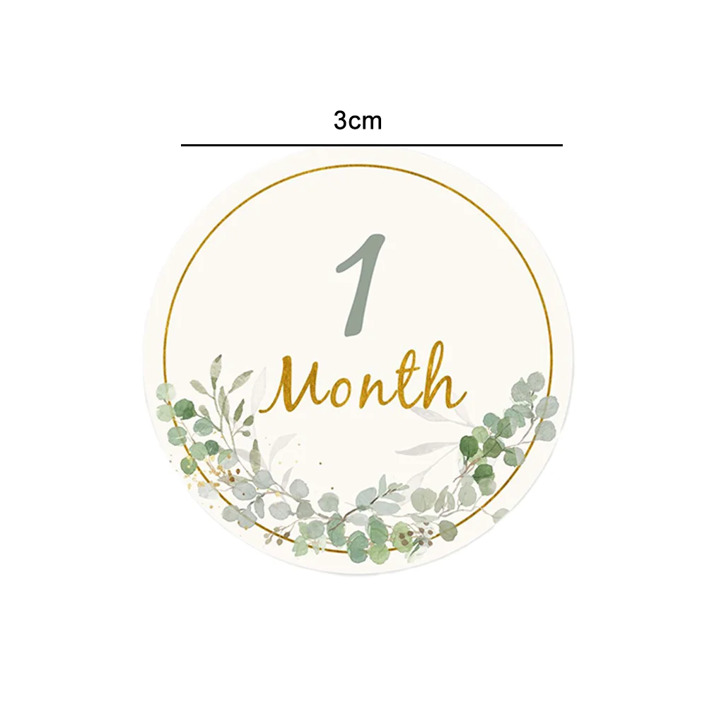 Tarjetas de cumpleaños para fotografía de bebés, 12 Uds., tarjeta de 1 a 12 meses, accesorios de fotografía para niños, regalo de decoración para fiesta de cumpleaños - imagen 5