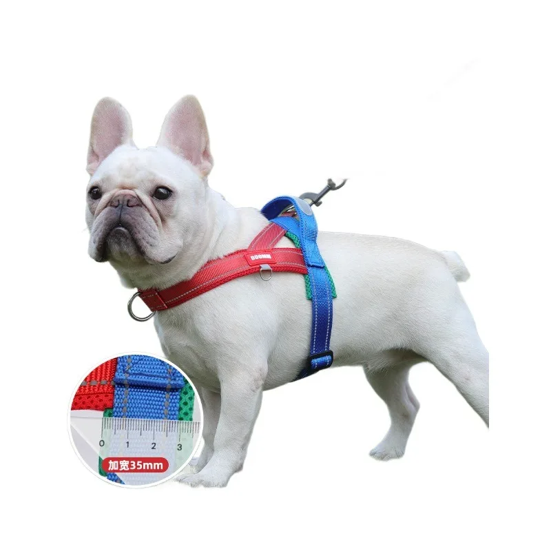 Transportín para perros a prueba de golpes con correa de pecho - imagen 4