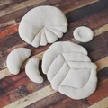 a set