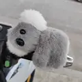 Gray koala