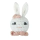 rabbit-2