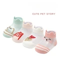 Cute pet