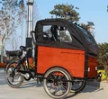 electric 250w