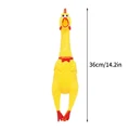 36cm