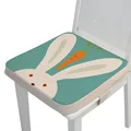 Thin rabbit