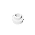 white-100pcs