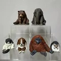 Full Set of 6