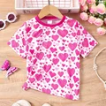 SY24032A-SZ2